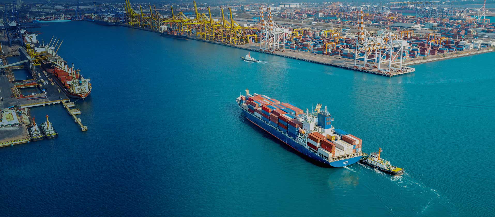 Preferred Nearshoring Partner for